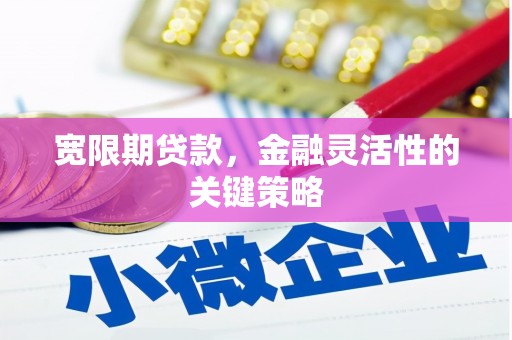 太仆寺旗宽限期贷款，金融灵活性的关键策略