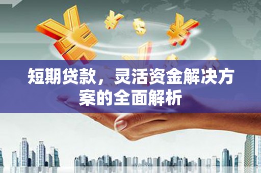 太仆寺旗短期贷款，灵活资金解决方案的全面解析