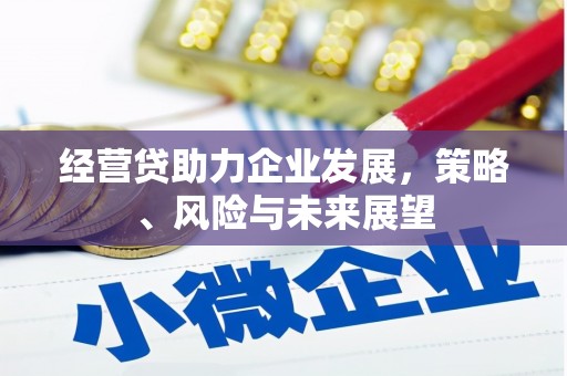 太仆寺旗经营贷助力企业发展，策略、风险与未来展望