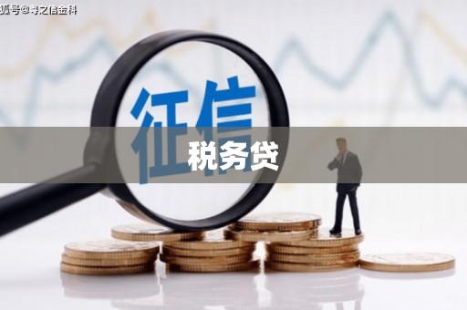 太仆寺旗税务贷