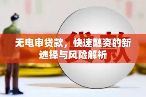 太仆寺旗无电审贷款，快速融资的新选择与风险解析