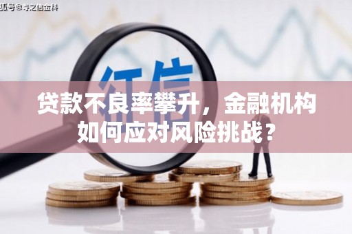 太仆寺旗贷款不良率攀升，金融机构如何应对风险挑战？