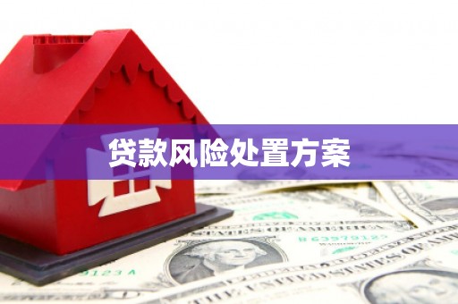 太仆寺旗贷款风险处置方案