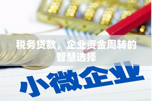 太仆寺旗税务贷款，企业资金周转的智慧选择