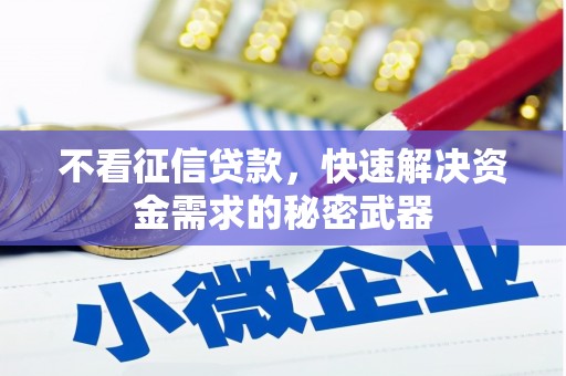 太仆寺旗不看征信贷款，快速解决资金需求的秘密武器