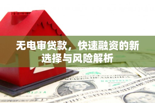 太仆寺旗无电审贷款，快速融资的新选择与风险解析