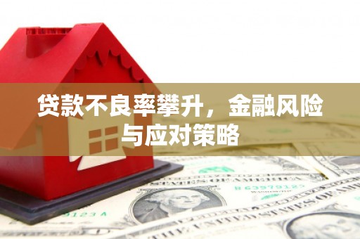 太仆寺旗贷款不良率攀升，金融风险与应对策略