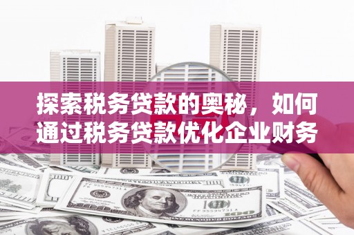 太仆寺旗探索税务贷款的奥秘，如何通过税务贷款优化企业财务