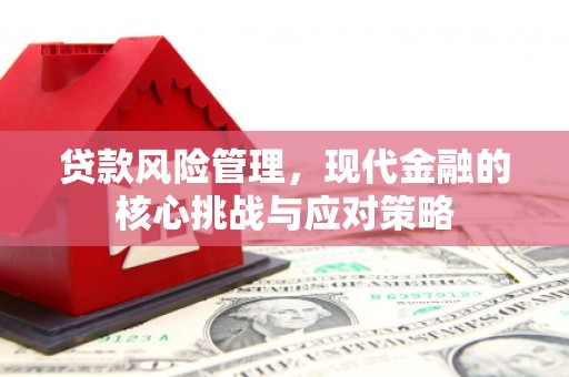 太仆寺旗贷款风险管理，现代金融的核心挑战与应对策略