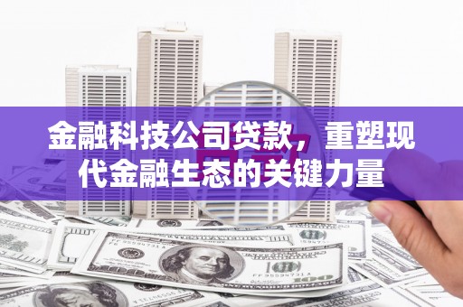 太仆寺旗金融科技公司贷款，重塑现代金融生态的关键力量