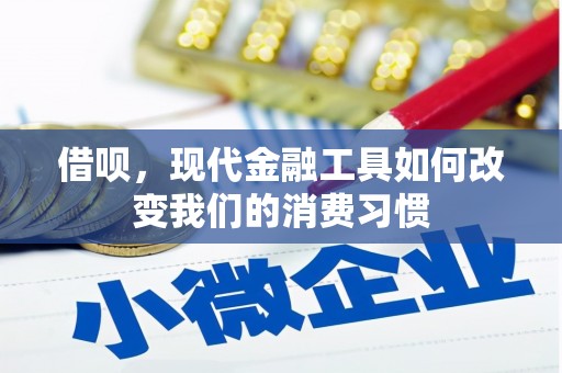 太仆寺旗借呗，现代金融工具如何改变我们的消费习惯