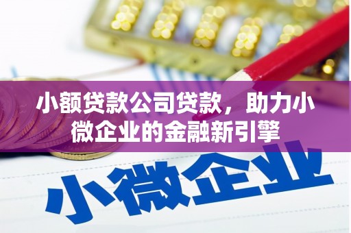 太仆寺旗小额贷款公司贷款，助力小微企业的金融新引擎