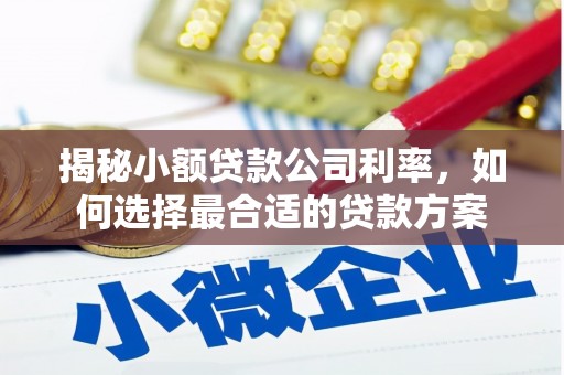 太仆寺旗揭秘小额贷款公司利率，如何选择最合适的贷款方案
