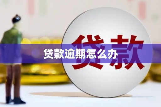 太仆寺旗贷款逾期怎么办