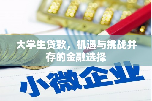 太仆寺旗大学生贷款，机遇与挑战并存的金融选择