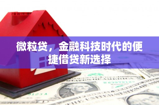 太仆寺旗微粒贷，金融科技时代的便捷借贷新选择
